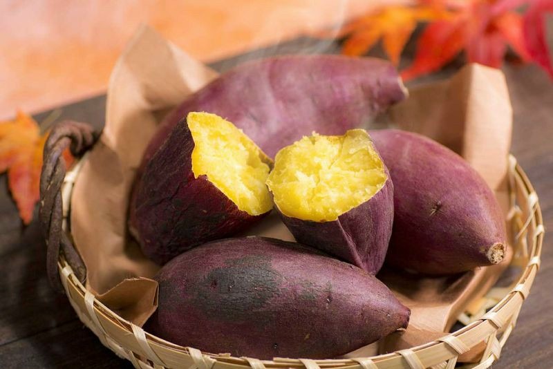 thuc-trang-khoai-xuat-nhap-khau-hien-nay-tai-viet-nam